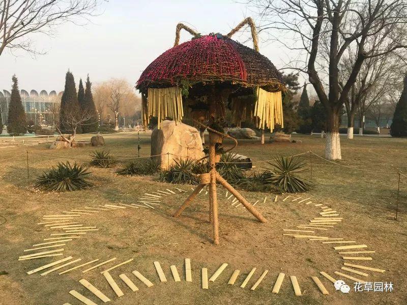 北京首届地景艺术节金奖作品竟抄袭日本稻草艺术节？